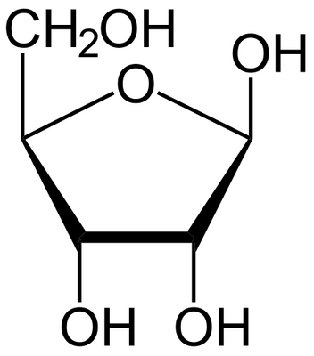 D-Ribose Cas No. 50-69-1