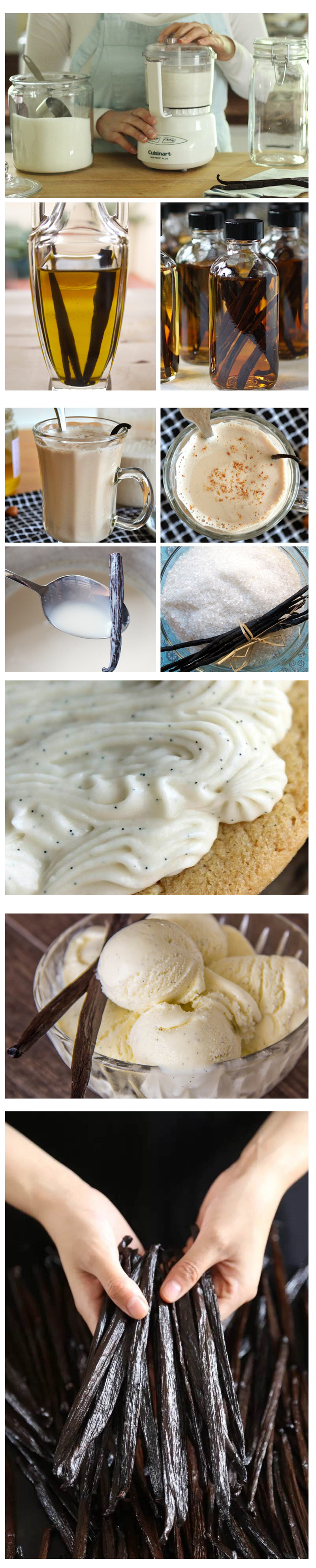 vanilla beans receips